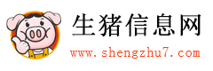 中猪网